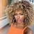 cheap Black &amp; African Wigs-Soft And Stylish 14 Inch Blonde Afro Curly Wig For Women - Perfect For 70s And Kinky Curly Hair - Synthetic Fiber Material For Long-Lasting Wear