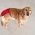 cheap Dog Apparel &amp; Accessories-Dog Cat Physiological Pant Fashion Casual Winter Breathable Soft Washable Comfortable Outdoor Casual Daily Dog Clothing for Bichon Frise Pomeranian Baby Pet Papillon Small