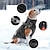 ieftine Îmbrăcăminte Câini-haine pentru câini de toamnă și iarnă haine pentru câini impermeabile rezistente la vânt pentru câini matlasate reflectorizante haine calde pentru câini în stoc