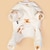 voordelige Hondenkleding-onesie met witte beerpatroonprint voor honden, zachte warme kleding voor kleine middelgrote honden, hondenkleding