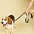 voordelige Hondenhalsbanden, tuigjes &amp; riemen-2 meter reflecterend nylon trekkoord voor huisdieren, comfortabele voering, handvat, handig trainingstouw, trekriem voor honden