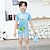 levne Plavky-Děti Chlapecké Plavky Komiks Krátký rukáv Venkovní Rozkošný Vodní modrá Léto Oblečení 3-7 let