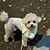 olcso Kutyaruházat-karácsonyi és téli új csúcskategóriás kisállat kutya hegyi kasmír fodros gallér kötött puha pulóver pulóver