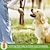 voordelige Hondentraining &amp; Gedrag-hondenfluitje met vanglijnen ultrasone hondenfluitjes om te stoppen met blaffen stille fluitjes met hoge frequentie voor hondentraining