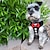 cheap Dog Collars, Harnesses &amp; Leashes-Lover Small Puppy Harness with Bowtie Adjustable Dog Vest Mesh Tuxedo Harness for Small Dog Kitten Perfect for Party Wedding Holiday