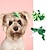 economico Vestiti per cani-Trifolium head hoop chihuahua costume prop irlandese giorno di San Patrizio fascia verde ornamento per capelli