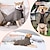 cheap Coats-Dog Cat Coat Jacket Vest Fashion British Winter Waterproof Warm Breathable Soft Washable Christmas Halloween Outdoor Casual Daily Dog Clothing for Bichon Frise Pomeranian Baby Pet Papillon Small