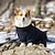 olcso Kutyaruházat-nagykutya pamutpárnázott ruhák és kasmír ruhák corgi őszi-téli új meleg kisállat ruhák pamut párnázott négylábú nagy és kis kutya ruhák