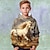 olcso fiú 3D pulóverek és pulóverek-Gyerekek Fiú Kapucnis felsőrész Hosszú ujj 3D nyomtatás Ló Állat Zseb Medence Gyermekek Felsők Ősz Tél Aktív Divat Napi Napi Otthoni Szabadtéri Normál 3-13 év