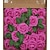 baratos Flor artificial-25/50 pçs/set caixa de presente 8cm rosa artificial com folhas 25 50 caixas de decoração de flores para casa decoração de casamento