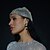 abordables Accessoires et plus-Bijoux de Cheveux Chapeau Métallique Etincelant Sexy Plastique Pour Disque Cosplay Carnaval Femme Bijoux de fantaisie Bijoux fantaisie