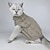 preiswerte Hundekleidung-Haustier Herbst und Winter gestrickter warmer Pullover Hund Katze Schnur einfarbig dicke Weste als Bär Pome Teddy Kleidung