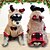 baratos Trajes-Cachorros Gatos Macacão Fantasia de Natal Roupa de Natal Festa Casual Inverno Quente Respirável Macio Lavável Confortável Natal Ao ar livre Casual / Diário Roupas para cães for Bichon Frise Pomerânia