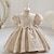 Χαμηλού Κόστους Φορέματα-Νήπιο Κοριτσίστικα Φόρεμα για πάρτυ Συμπαγές Χρώμα Γραφική Κοντομάνικο Επίδοση Γάμου Σουρωτά Ενεργό Λατρευτός Πριγκίπισσα Βαμβάκι Μακρύ Φόρεμα για πάρτυ Άνοιξη Φθινόπωρο Χειμώνας 3-7 Χρόνια