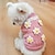 preiswerte Hundekleidung-Süßer Kapuzenpullover aus Kirschstrick für kleine und mittelgroße Hunde – halten Sie Ihren pelzigen Freund warm und stilvoll