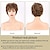 cheap Older Wigs-Short Curly Wavy Wig Synthetic Hair Layered Shaggy Wigs Pixie Cut Wig For Women Ladies Heat Resistant Party Cosplay Use 12 Inch