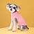 halpa Koiran vaatteet-lemmikkieläinten vaatteet syksy ja talvi uusi muoti karkkivärinen pusero koira lemmikki yksivärinen kierre neulepusero suoja