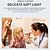 billiga Ficklampor-mini medicinsk pennlampa typ-c usb-laddning inbyggt batteri medicinsk ficklampa bärbar medicinsk pennlampa xpg led