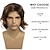 cheap Mens Wigs-Mens Brown Wig Short Curly Side Part Synthetic Hair Replacement Wig for Daily Party Costume Halloween
