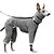 abordables Manteaux-Chien Chat Manteau Veste Mode Occasionnel Hiver Respirant Doux Lavable Confortable Extérieur Décontracté Quotidien Vêtements pour Chiens for Bichon Frisé Spitz Nain Bébé Animal Papillon Petit