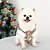 preiswerte Kostüme-Hund Katze Kapuzensweatshirt Weihnachtskostüm Weihnachtsoutfit Party Lustig Winter Warm Atmungsaktiv Weich Waschbar Bequem Weihnachten Outdoor Alltagstauglich Hundebekleidung for Bichon Frise