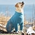 olcso Kutyaruházat-nagykutya pamutpárnázott ruhák és kasmír ruhák corgi őszi-téli új meleg kisállat ruhák pamut párnázott négylábú nagy és kis kutya ruhák