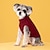 tanie Ubrania dla psów-odzież dla zwierząt, jesienna i zimowa, nowa moda, sweter w cukierkowym kolorze, sweterek dla psa, jednolity kolor, dzianinowy sweterek ochronny