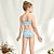 cheap Swimwear-Kids Girls&#039; Swimsuit Training Graphic Active Bathing Suits 7-13 Years Summer sunflower Fish scales Pink flower