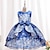 cheap Party Dresses-Kids Girls&#039; Party Dress Graphic Sleeveless School Formal Performance Princess Beautiful Sweet Cotton Knee-length Party Dress Flower Girl&#039;s Dress Fall Winter 2-9 Years Blue