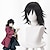 abordables Costumes de manga-inspiré par Demon Slayer : Kimetsu no Yaiba Tomioka Giyuu Anime Cosplay Costumes Japonais Cosplay Costumes Accessoires Cosplay Accessoires Top Pantalon Cape avec perruque