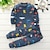 cheap Pajamas-Toddler Boys 2 Pieces Pajama Sets Long Sleeve AB022 AB01 AB04 Animal Cartoon Crewneck Spring Fall Daily Home 3-7 Years