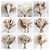 levne Svatební dekorace-1ks valentýnská sušená rákosová kytice set bohémská pampa metla z králičího ocasu eukalyptus.