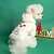 voordelige Hoodies-Honden Katten Hoodies Feest Casual Winter Warm Ademend Zacht Wasbaar Comfortabel Kerstmis Buiten Casual / Dagelijks Hondenkleding for Bichon Frise pomeranian kleine huisdieren Vlinder Small