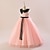 cheap Party Dresses-Kids Girls&#039; Party Dress Solid Color Sleeveless School Wedding Birthday Beautiful Sweet Polyester Mesh Maxi Party Dress Flower Girl&#039;s Dress Summer Spring Fall 5-13 Years White Champagne Pink