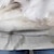 voordelige 3D hoodies en sweatshirts voor meisjes-Voor meisjes 3D Hond Trui met capuchon Pullover Lange mouw 3D-afdrukken Herfst Winter Actief Modieus leuke Style Polyester Kinderen 3-12 jaar Buiten Casual Dagelijks Normale pasvorm