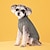 cheap Dog Clothes-Pet Clothes Autumn And Winter New Fashion Candy Color Sweater Dog Cute Pet Solid Color Fried Dough Twists Knitting Pullover