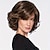 cheap Older Wigs-Synthetic Wig Straight Neat Bang Wig Short A1 A2 A3 A4 Synthetic Hair Women&#039;s Fashionable Design Soft Natural Brown Gray Blonde