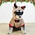 baratos Trajes-Cachorros Gatos Macacão Fantasia de Natal Roupa de Natal Festa Casual Inverno Quente Respirável Macio Lavável Confortável Natal Ao ar livre Casual / Diário Roupas para cães for Bichon Frise Pomerânia