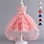 cheap Party Dresses-Kids Girls&#039; Party Dress Solid Color Sleeveless Formal Performance Wedding Mesh Elegant Princess Beautiful Polyester Maxi Party Dress Flower Girl&#039;s Dress Spring Fall Winter 3-12 Years White Champagne