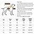 abordables Vestidos-Perros Gatos Vestidos Estilo lindo Casual Invierno Transpirable Suave Lavable Cómodo Exterior Casual Diario Ropa para perros for Bichón Frisé Pomerania Animal doméstico del bebé Mariposa Small