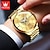 お買い得  機械式腕時計-OLEVS 男性 機械式時計 贅沢 大きめ文字盤 ファッション ビジネス 自動巻き 光る カレンダー 防水 鋼 腕時計
