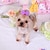 お買い得  犬用服-ペットアクセサリー ペットの犬 キャンディーカラーのリボン ペットのヘアクリップ アクセサリー 帽子 犬用品