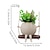 cheap Statues-Swing Face Planter Pot Hanging Head for Indoor Outdoor Plant Succulent Pots String of Pearls Live Resin Flower Best Gift Mother and Teacher Appreciation