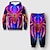 cheap Boy&#039;s 3D Sets-Boys 3D Spider Hoodie &amp; Pants Set Long Sleeve 3D Printing Fall Winter Active Fashion Cool Polyester Kids 3-12 Years Outdoor Street Vacation Regular Fit