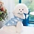 cheap Coats-Dog Cat Coat Jacket Vest Sports &amp; Outdoors Casual Winter Reflective Warm Breathable Soft Washable Outdoor Casual Daily Dog Clothing for Bichon Frise Pomeranian Baby Pet Papillon Small