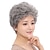 cheap Older Wigs-Ladies Gray Short Curly Synthetic Full Hair Wigs Natural Wavy Fluffy Mom Costume Old Grandma Cosplay Wigs for Women (Curly Silver Gray)