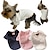 preiswerte Hundekleidung-Halten Sie Ihren pelzigen Freund gemütlich &amp; Warme Haustierkleidung für die Kleinen diesen Winter &amp; mittelgroße Hunde!