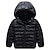 cheap Outerwear-Kids Unisex Hoodie Jacket Outerwear Kids Puffer Jacket Solid Color Long Sleeve Zipper Coat Outdoor Adorable Daily Royal blue cotton jacket black cotton coat Orange cotton jacket Spring Fall 7-13 Years