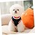 baratos Suéteres-Cachorros Gatos Súeters Pulôver Moda Casual Inverno Quente Respirável Macio Lavável Confortável Ao ar livre Casual / Diário Roupas para cães for Bichon Frise Pomerânia Animais de Pequeno Porte