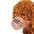 cheap Muzzles-Dog Cat Muzzle Minimalist Winter Breathable Soft Washable Comfortable Outdoor Casual Daily Dog Clothing for Bichon Frise Pomeranian Baby Pet Papillon Small